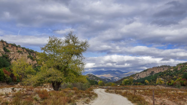 Path