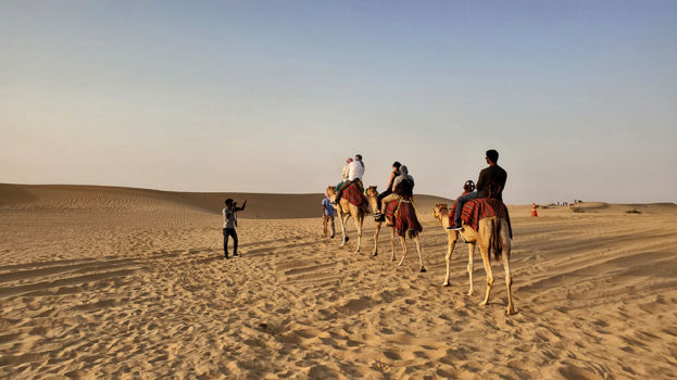 Desert Camel Trip