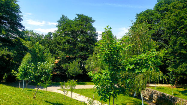 Park Rila