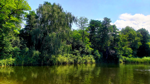 Lake in Park Rila